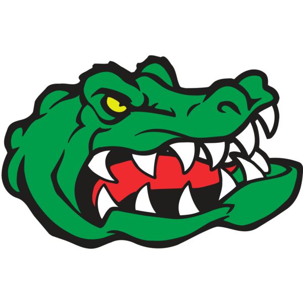 AR GATOR 19 RQC Thumbnail